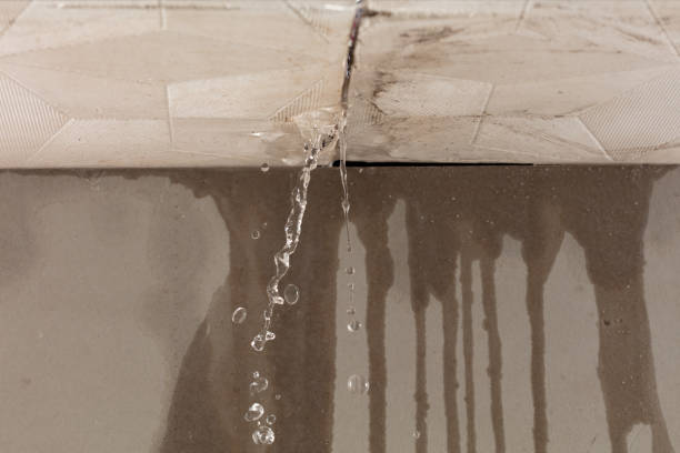 Professional Commercial Water Damage Restoration technician working in Liberty Center, OH
